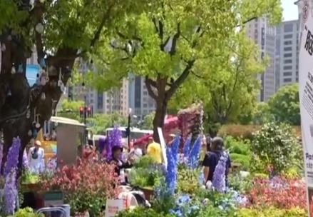 以花為媒、以科創(chuàng)為引擎 城市空間消費(fèi)新業(yè)態(tài)上“新”引領(lǐng)文化新風(fēng)尚