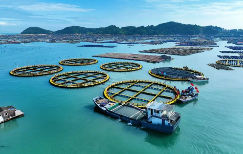 福建福州持續(xù)擦亮特色漁業(yè)品牌