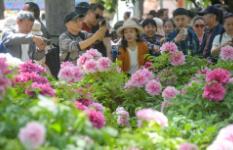 “鮮花+”引領(lǐng)消費(fèi)新風(fēng)尚