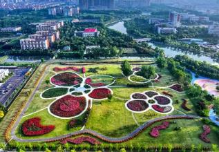 “花木之鄉(xiāng)”沭陽，一場持續(xù)五年的“誠信實(shí)驗(yàn)”