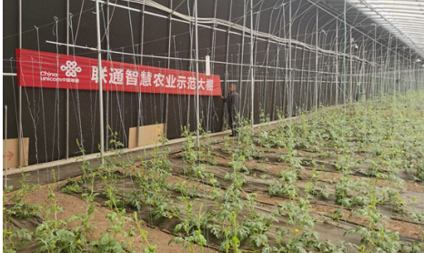 充實(shí)農(nóng)業(yè)“含綠量”提升環(huán)保“含金量” 中國(guó)聯(lián)通奏響綠色發(fā)展“春之曲”