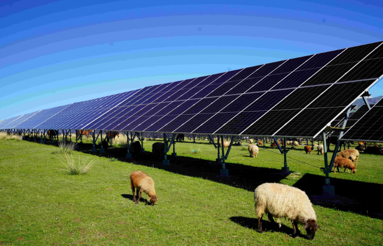 中國(guó)綠發(fā)加快建設(shè)生物多樣性領(lǐng)跑企業(yè)