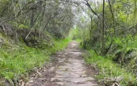 蜀道考古調(diào)查階段性成果發(fā)布 新發(fā)現(xiàn)文物遺存297處