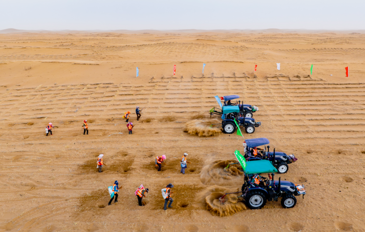 中鐵四局：為140多萬畝荒漠縫制“綠風(fēng)衣”