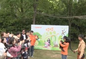 景區(qū)多元特色主題活動賦能 “五一”假期文旅消費煥新彩