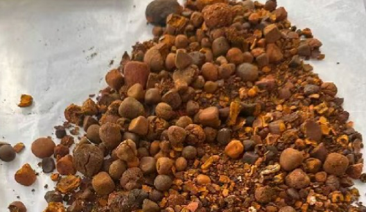 進口牛黃再“開閘” 牛黃原料“緊缺枷鎖”能否打開？