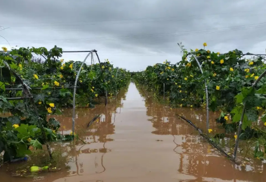 農(nóng)業(yè)農(nóng)村部等四部門(mén)印發(fā)農(nóng)業(yè)防災(zāi)減災(zāi)預(yù)案