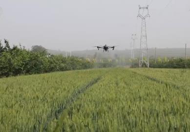 從“經(jīng)驗(yàn)種田”到“數(shù)據(jù)種地” 智慧農(nóng)業(yè)為夏糧豐產(chǎn)豐收保駕護(hù)航