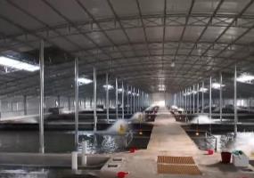 鮮活水產(chǎn)品直通國際市場 特色養(yǎng)殖帶動就業(yè)增收