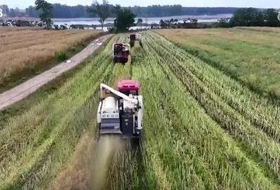 農(nóng)業(yè)生產(chǎn)有“智”又有“質(zhì)” 硬核科技夯實(shí)豐收基礎(chǔ) 開辟增產(chǎn)節(jié)本新途徑