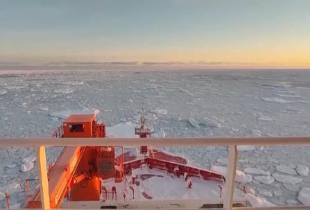 涉及海冰研究、海洋生物等 我國(guó)南極科考有了新發(fā)現(xiàn)