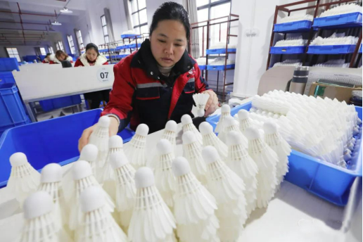 小羽毛撬動(dòng)大市場：羽毛球產(chǎn)業(yè)如何破解漲價(jià)困局?