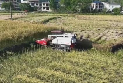 科技賦能農(nóng)業(yè)生產(chǎn)“加速跑” 希望的田野描繪多彩豐收圖景