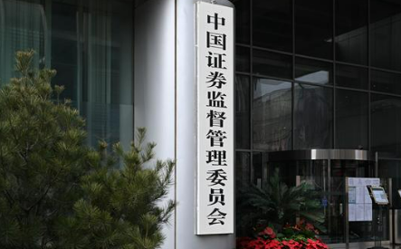 證監(jiān)會：從嚴打擊虛構業(yè)務等惡性造假行為