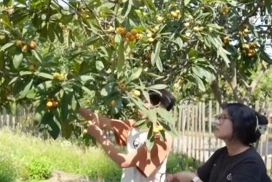 嘗“鮮”經(jīng)濟(jì)帶火旅游消費(fèi) 激活吃、住、游、購(gòu)、娛綜合消費(fèi)新動(dòng)能