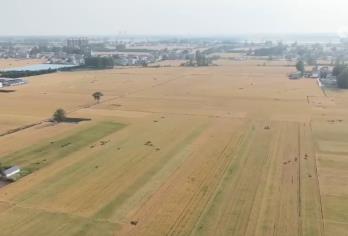 智能農(nóng)機“唱主角” 希望的田野描繪好“豐”景