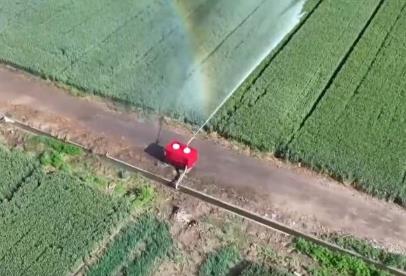 噴灌機(jī)器人讓小麥喝上“解渴水” 科技抗旱助力夏糧豐產(chǎn)豐收