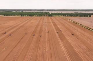 內(nèi)蒙古敖漢旗：百萬(wàn)畝谷子播種啟幕 續(xù)寫“世界小米之鄉(xiāng)”輝煌