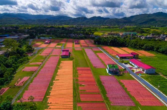 廣新控股集團(tuán)強(qiáng)化ESG治理 為高質(zhì)量發(fā)展注入動能