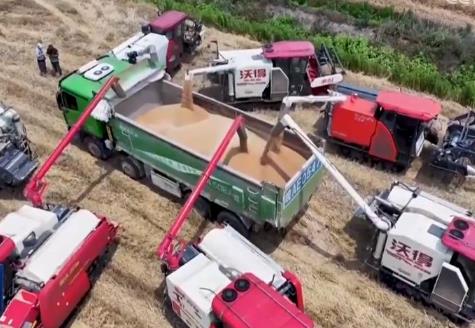 我國夏糧大規(guī)模機(jī)收全面展開