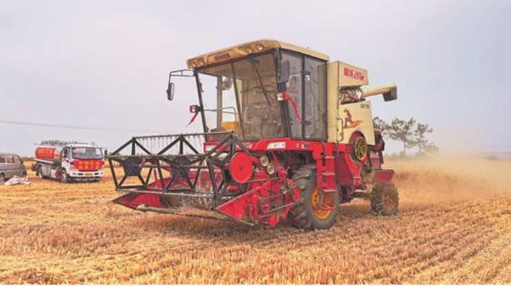 中國石油傾情服務(wù)“三夏” 守護(hù)“中國飯碗”