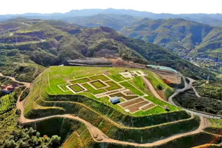 從“采烏金”到“植綠金”——山西焦煤奮力書寫黑色產(chǎn)業(yè)綠色發(fā)展新答卷