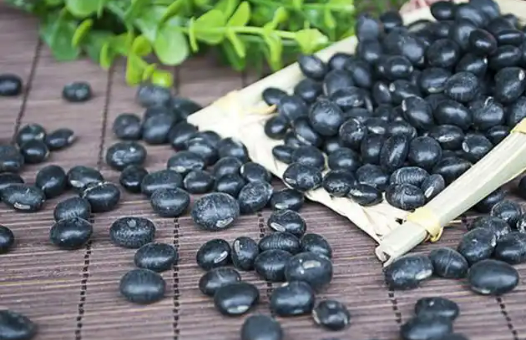 黑龍江明水黑豆產(chǎn)業(yè)：撬動鄉(xiāng)村振興的