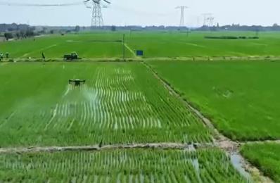 農(nóng)技護(hù)航、智慧種田 “三夏”時(shí)節(jié)各地都在搶農(nóng)時(shí) 忙耕種