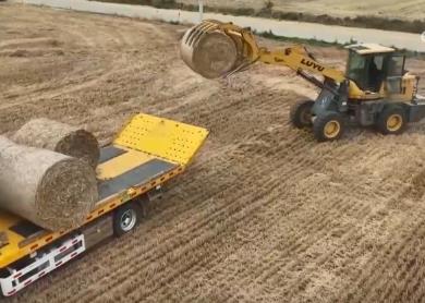 “AI助手”給小麥“全身體檢”、農(nóng)機(jī)新裝備搶盡風(fēng)頭……多維度解鎖“三夏”智變