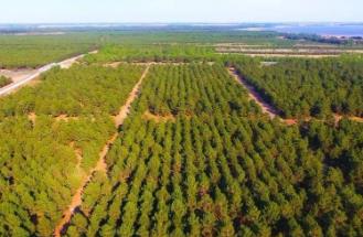 黑龍江“三北”工程成效顯著！沙化土地10年減少120萬畝