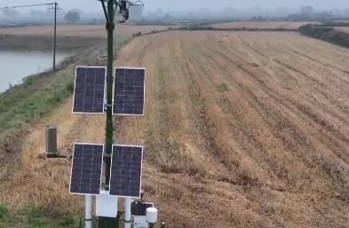 氣象預(yù)報(bào)加上數(shù)字化監(jiān)測(cè) 小麥“顆粒歸倉(cāng)”有了“最強(qiáng)大腦”