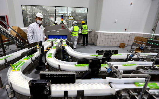 數(shù)字化轉(zhuǎn)型與產(chǎn)業(yè)升級開辟就業(yè)新空間