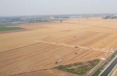 “三夏”小麥機(jī)收全面展開 智慧氣象“搶”出麥?zhǔn)铡凹铀俣取?></a></div><!-- img end -->	<div   id=