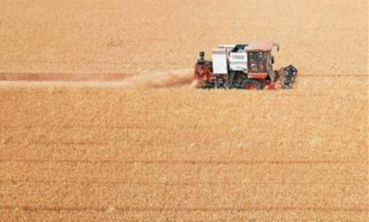 全國“三夏”大規(guī)模小麥機(jī)收全面展開——1700萬套農(nóng)機(jī)具助力豐收