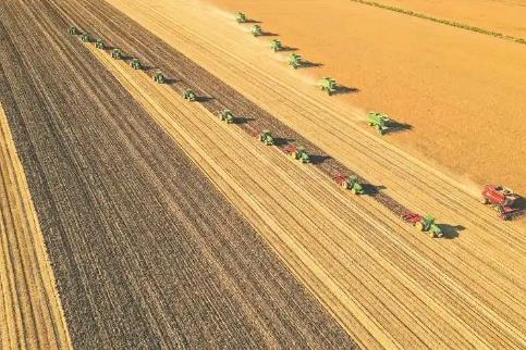 黑龍江糧食總產(chǎn)量登上1600億斤臺階