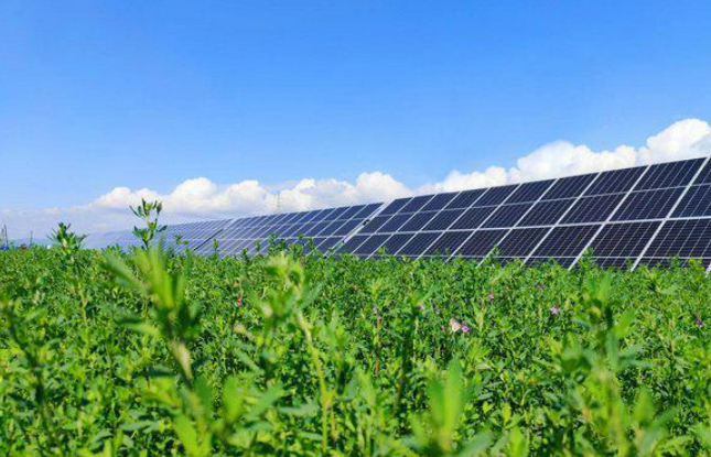 馳而不息向“綠”而行 ——黑龍江龍煤集團(tuán)踐行社會責(zé)任推進(jìn)綠色發(fā)展