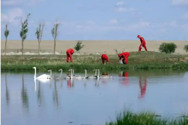 厚植生態(tài)底色 共建美麗中國——中國石油發(fā)布《2024年環(huán)境保護公報》