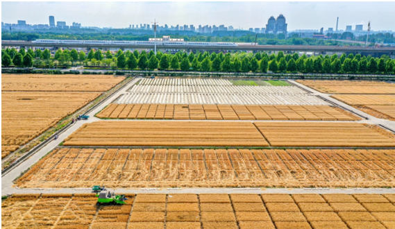 國務院印發(fā)《關于開展第四次全國農(nóng)業(yè)普查的通知》