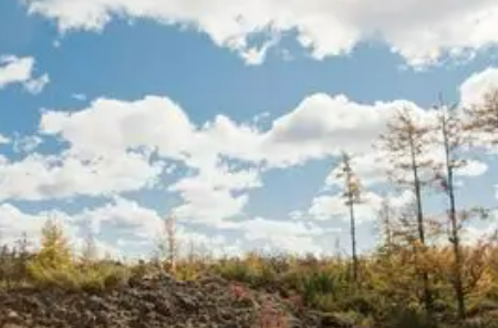 黑龍江省自然科學(xué)基金設(shè)立首個聯(lián)合基金