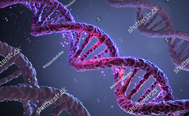 把數(shù)據(jù)刻進(jìn)DNA！海量信息存儲(chǔ)打開(kāi)新思路