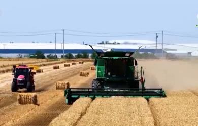 智慧“新成員”大展身手服務(wù)“三夏”生產(chǎn) “減損增收”從目標(biāo)變?yōu)楝F(xiàn)實(shí)