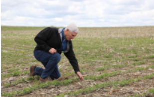 美國(guó)“糧倉(cāng)”一線觀察：關(guān)稅政策沖擊下的農(nóng)民春播之困