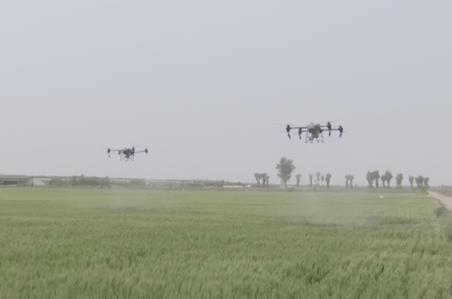 綠色生產(chǎn)、科技護航 夏收季田間地頭糧食豐收果實飄香