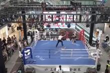 文商旅體多業(yè)態(tài)互補為賽事賦能 “賽事經(jīng)濟”激活多場景消費新動能