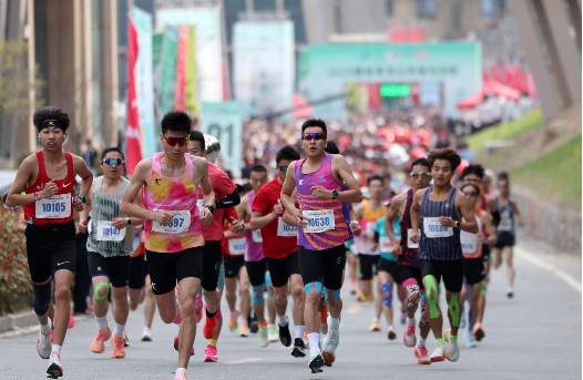 馬拉松“越辦越多” 盲目跟風(fēng)暴露多重問題