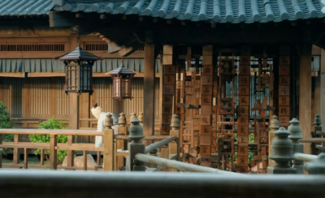 非遺遇到熱劇 助力傳統(tǒng)文化出圈