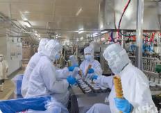 市場監(jiān)管總局：3605批次冷凍飲品抽檢合格率超99.5%