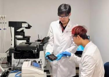 中國團隊聯(lián)合破解細胞膜的“脆弱密碼”