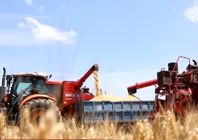 北斗導(dǎo)航、人工智能平臺(tái)…… 科技帶來豐收底氣