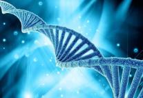 二代基因測序體外診斷試劑分類界定原則明確 相關(guān)產(chǎn)品管理屬性基于預(yù)期用途進行判斷